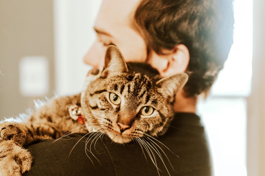 Man with short brown hair wearing a black t-shirt, cuddling a cat with brown and grey fur.